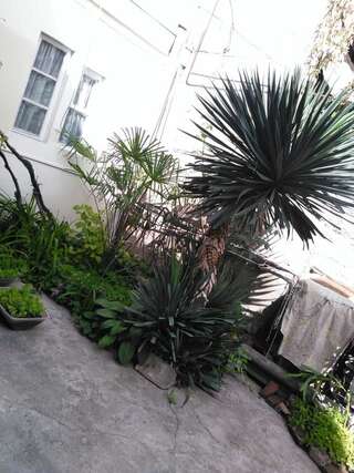 Гостевой дом Green Guest House Тбилиси-0